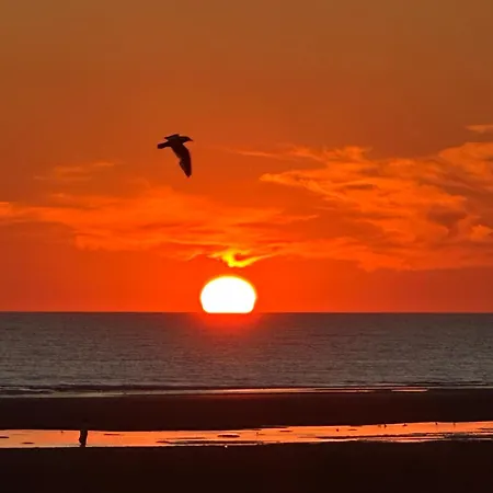 Sigrid&sea 2 étoiles, Fort-mahon * Fort-Mahon-Plage