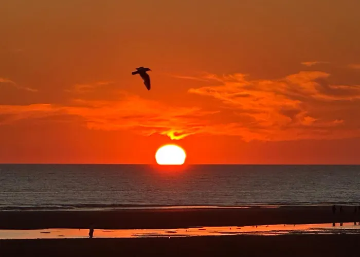 Sigrid&sea 2 étoiles, Fort-mahon * Fort-Mahon-Plage